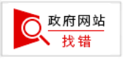 政府网站找错
